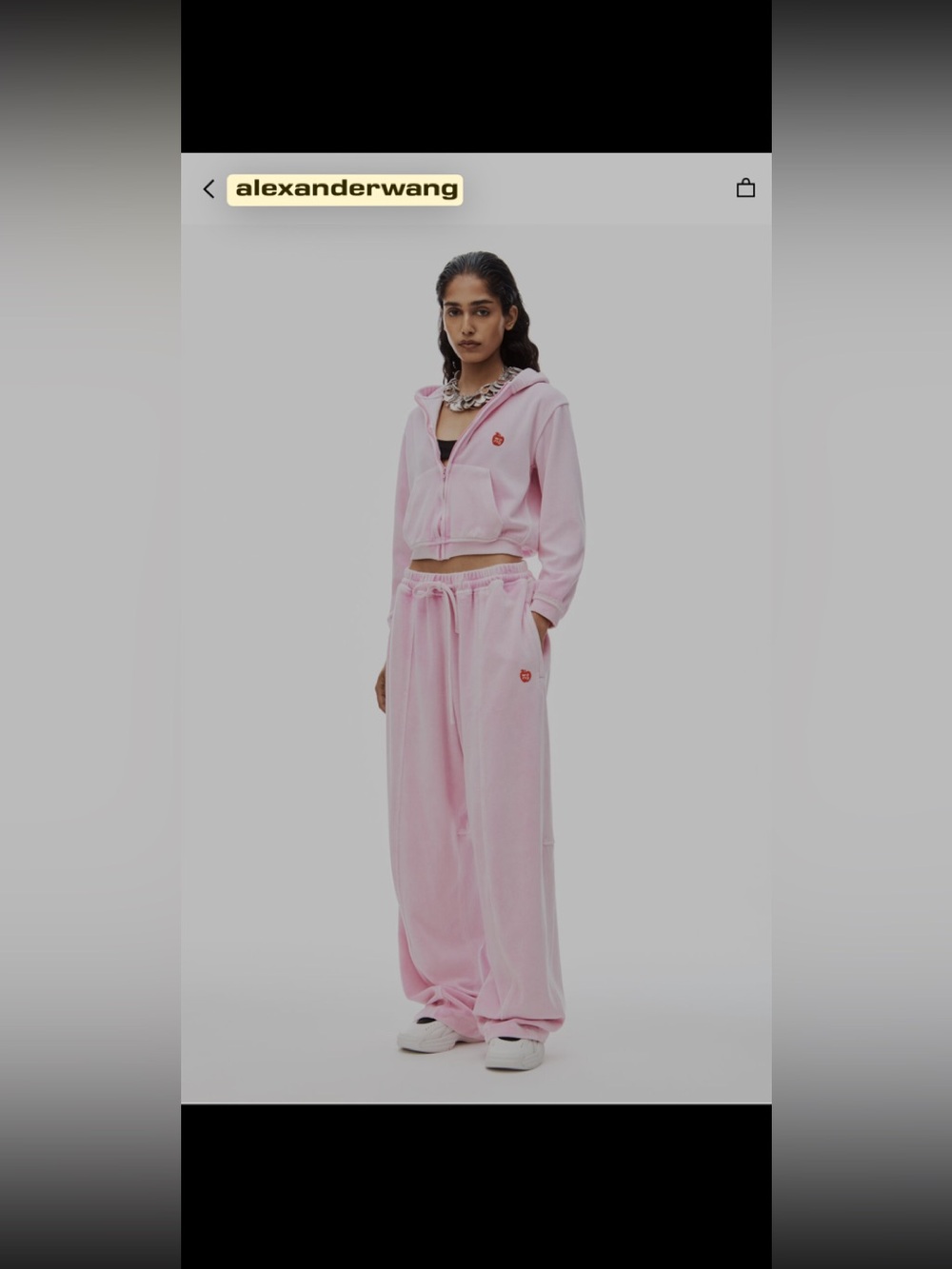 Alexander Wang apple logo hoodie set in velour